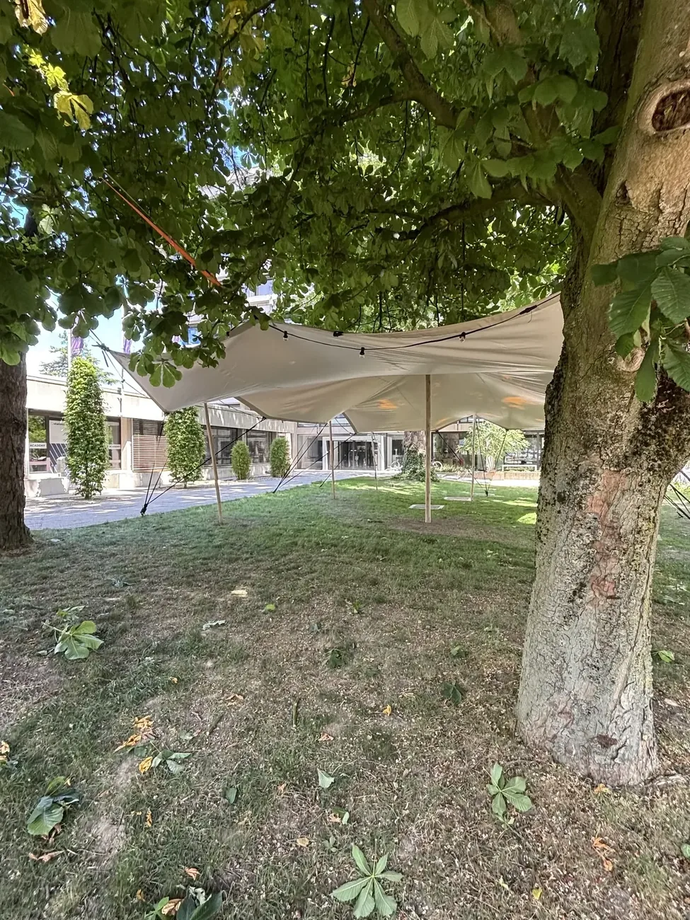 Stretchtent park tuin Hasselt