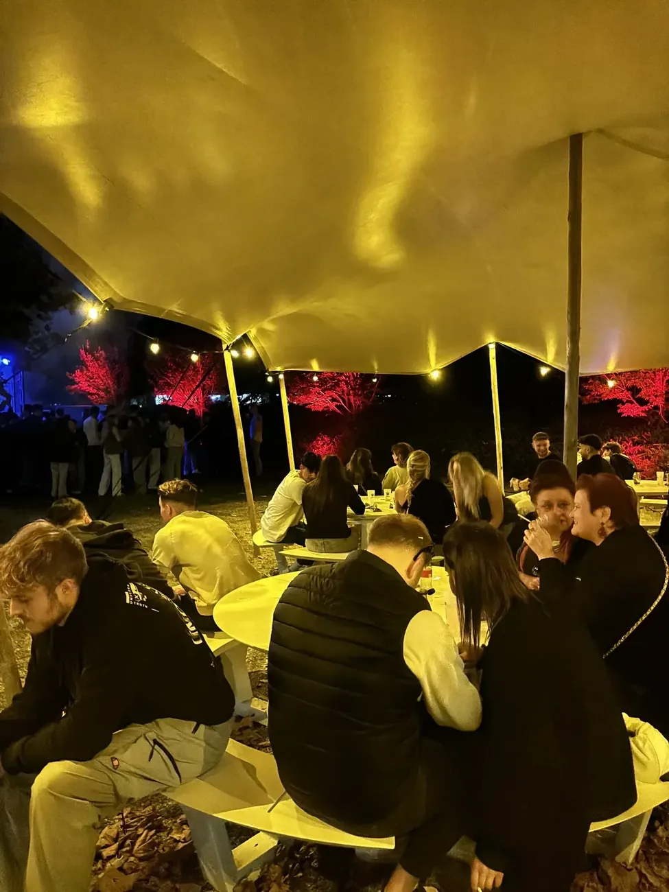 Stretchtent binnenin warme verlichting gasten Limburg